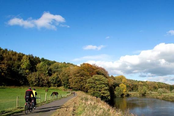 Cyclists on the Guild Wheel
