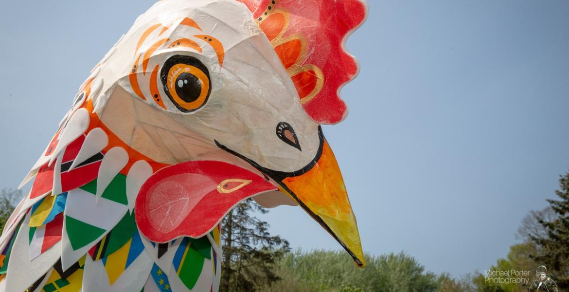 Easter chicken sculpture at Avenham and Miller Parks Easter chicken sculpture at Avenham and Miller Parks