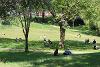 Winckley Square gardens with people relaxing