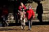 Child riding a donkey