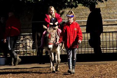 Child riding a donkey