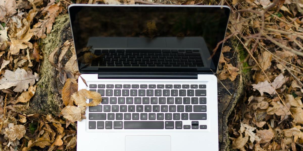 Laptop outside, covered in autumn leaves Laptop outside, covered in autumn leaves