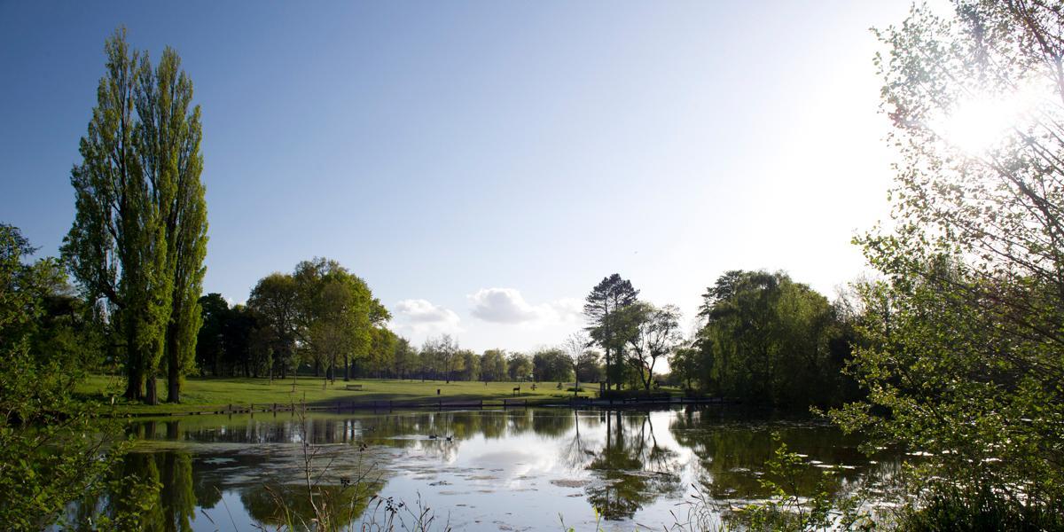 Main image: View of Haslam Park over pond area. View of Haslam Park over pond area.
