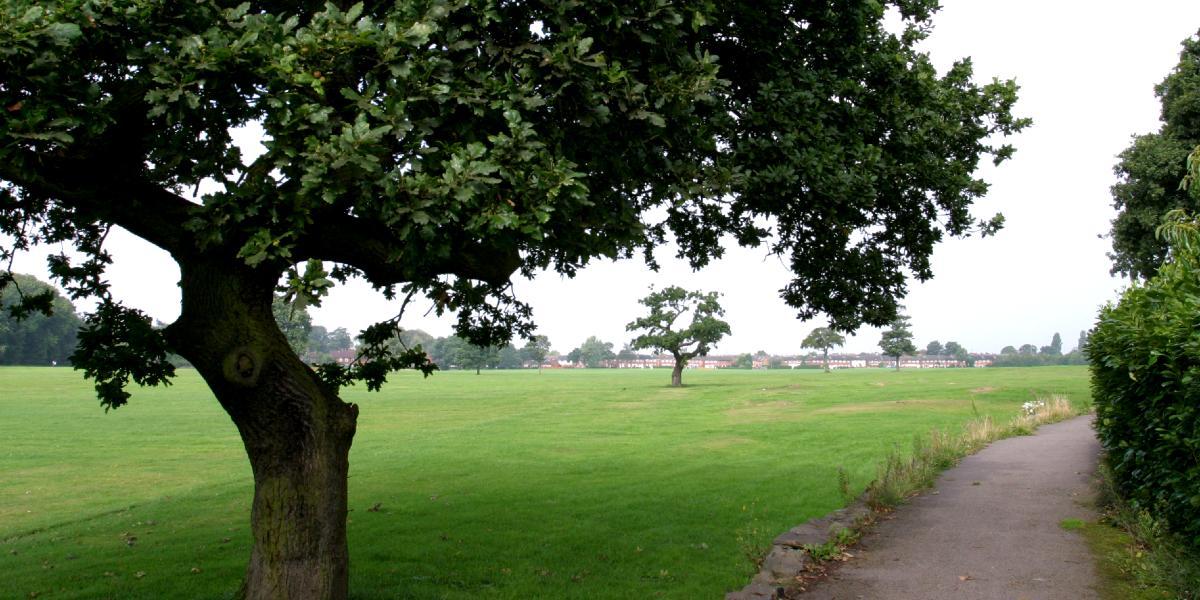 Main image: View of green space and trees in Ashton Park, Preston. View of green space and trees in Ashton Park, Preston.