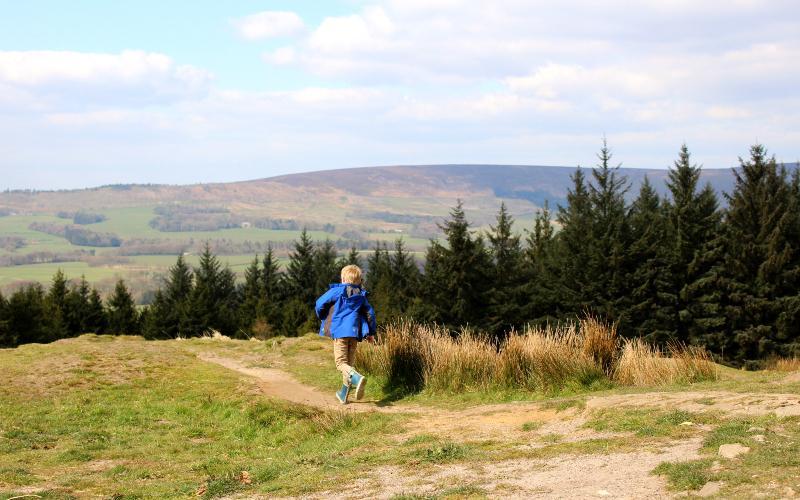 Beacon Hill Country Park Visitor Information Times and Maps