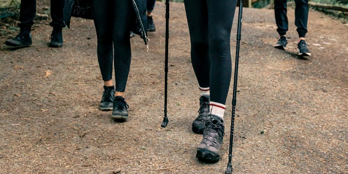 Main image Nordic Walking with Dawn Group walking through woods with Nordic walking poles.